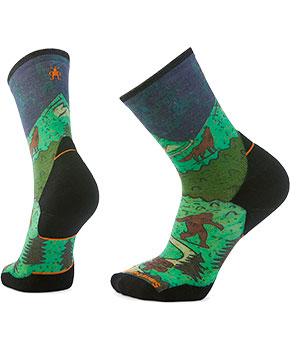 Smartwool Trail Run Targeted Cushion Neature Print Crew Socks