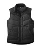 Transcendent Down Vest