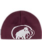 Tweak Beanie