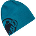 Tweak Beanie