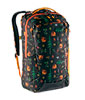 Wayfinder Backpack 30 L W
