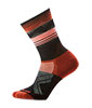 Women's Bike Targeted Cushion Cold Weather Crew Socks