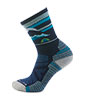 Women's Hike Light Cushion Mountain Moon Crew Socks