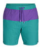 Zendo Multi Shorts