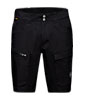 Zinal Hybrid Shorts