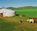 Mongolei 2006